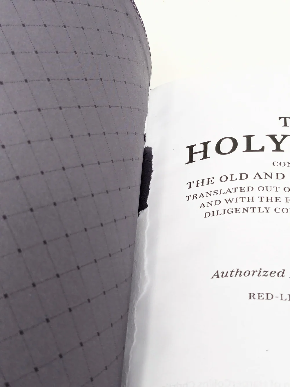 KJV Deluxe Gift Holy Bible Leathersoft Purple Red Letter Edition